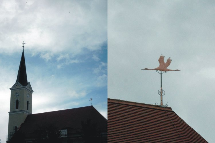 Kranich in Großrückerswalde